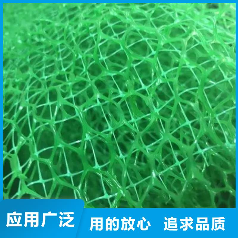 三维土工网垫价格多少