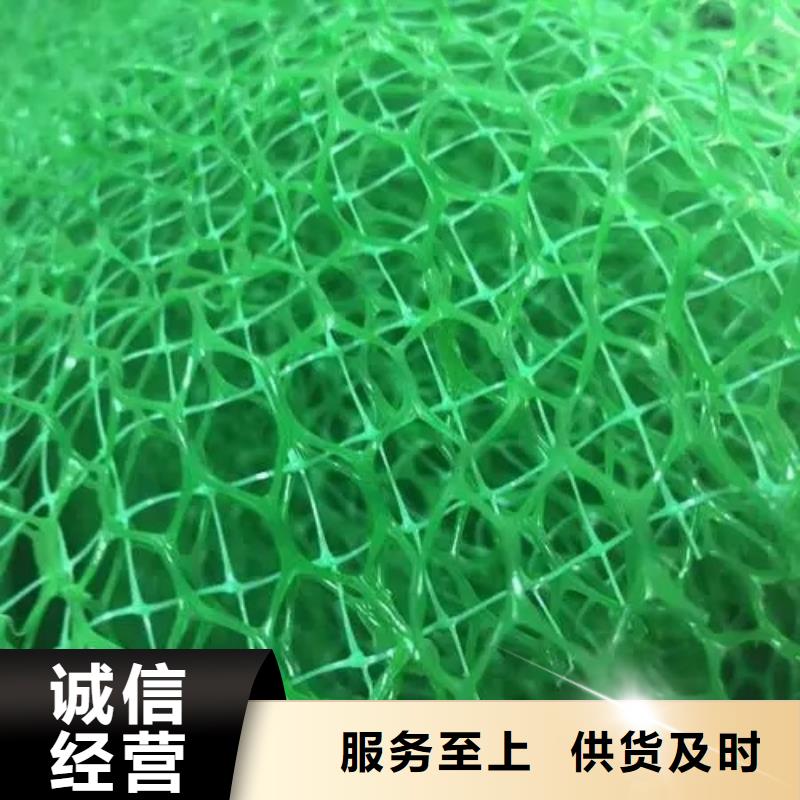 三维植被网2025行情价