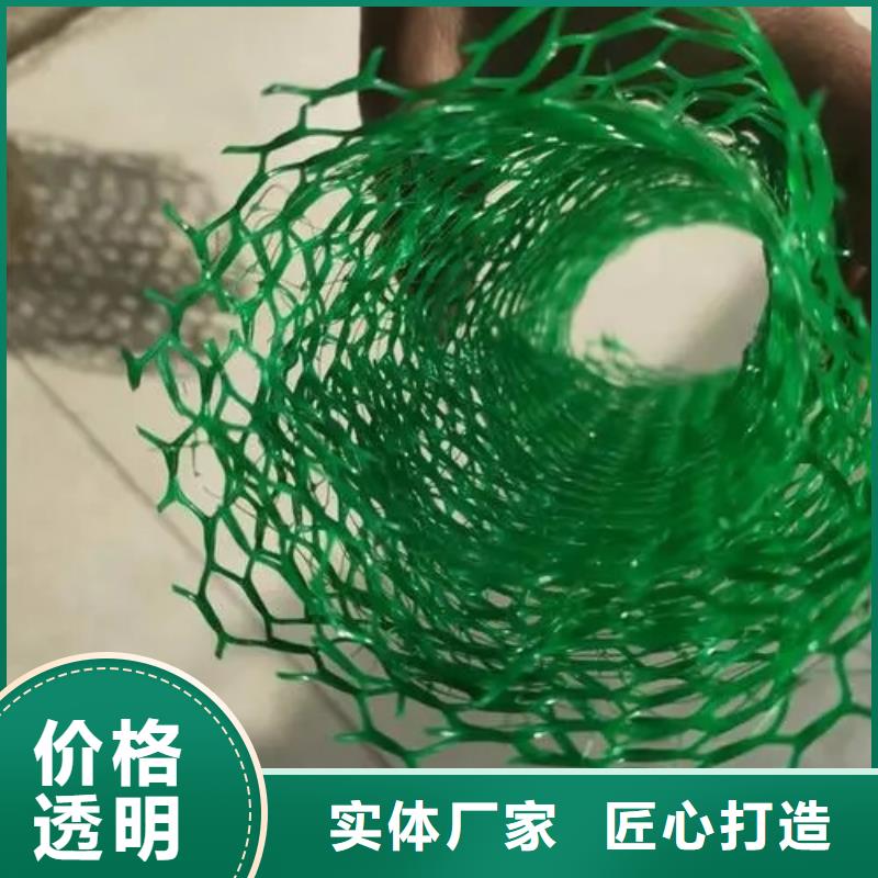 三维植被网防护虹吸排水收集系统懂您所需