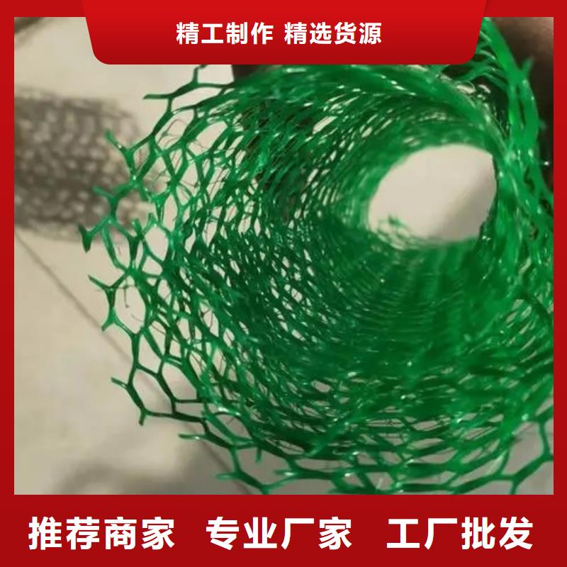 三维植被网工厂价