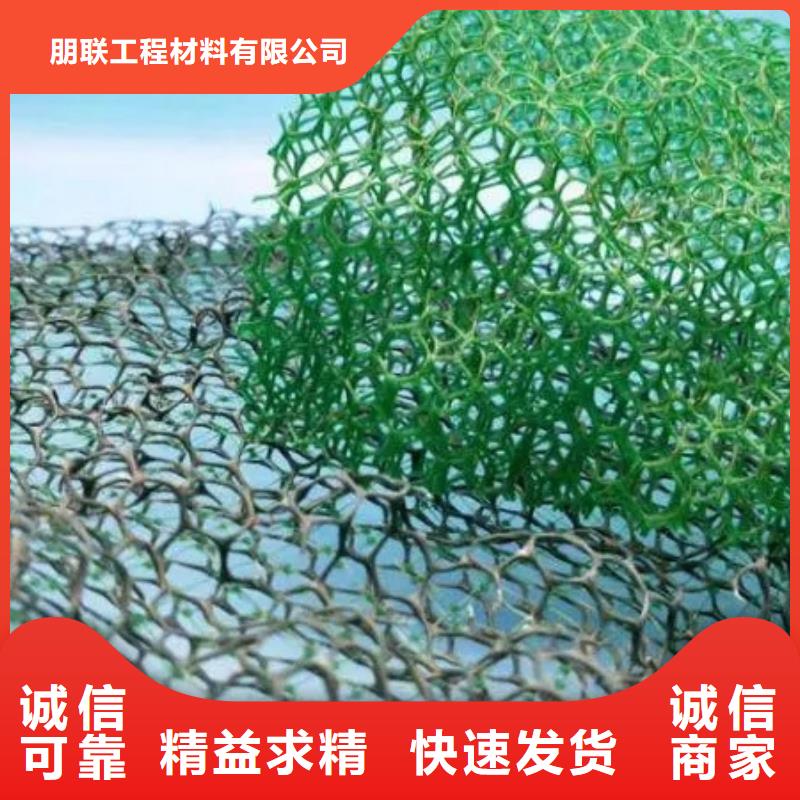 三维土工网垫本地厂家