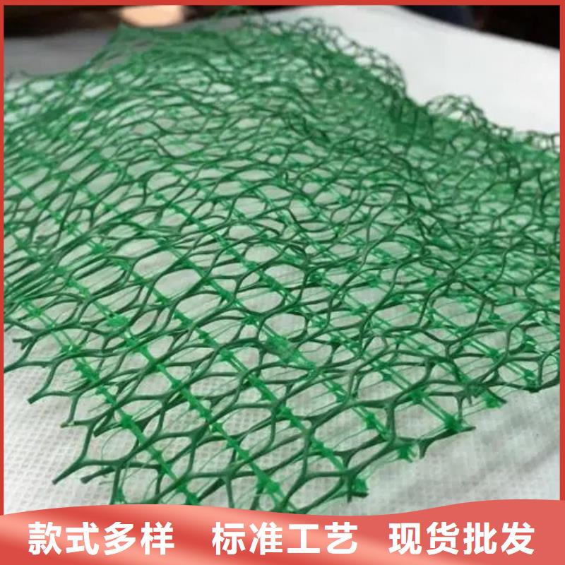 三维土工网垫工厂价