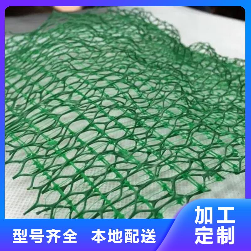 护坡土工网型号