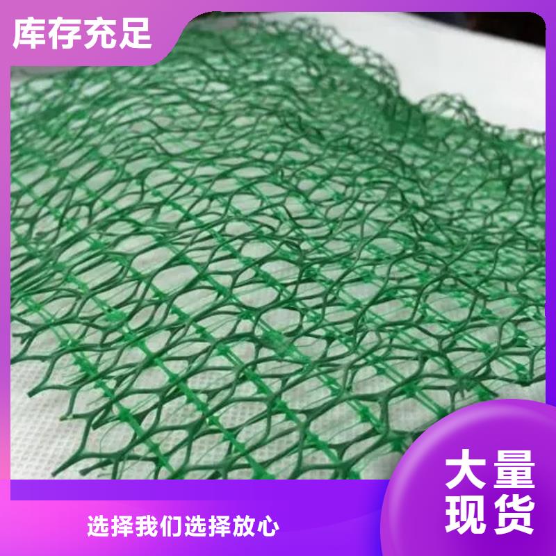 三维植被网,【植草格】值得信赖