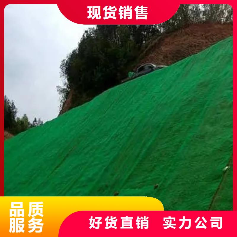 三维植被网全国发货