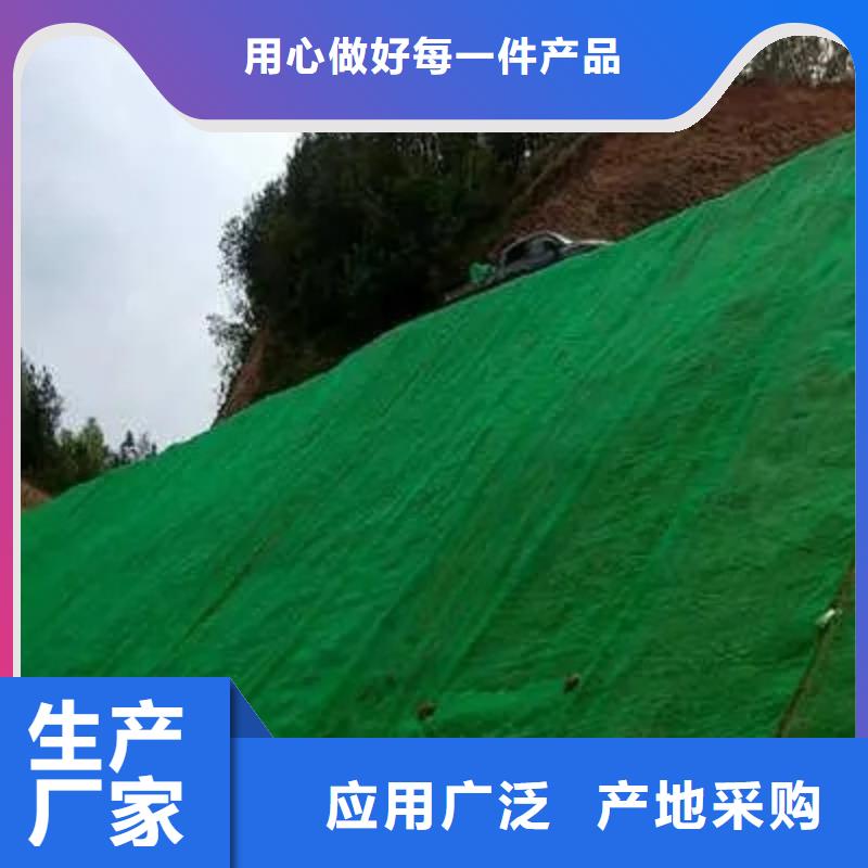 三维植被网植草格诚信商家服务热情