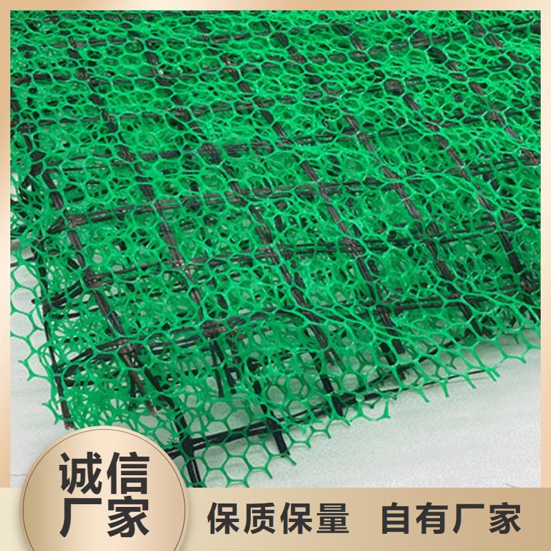 三维植被网厂家价格