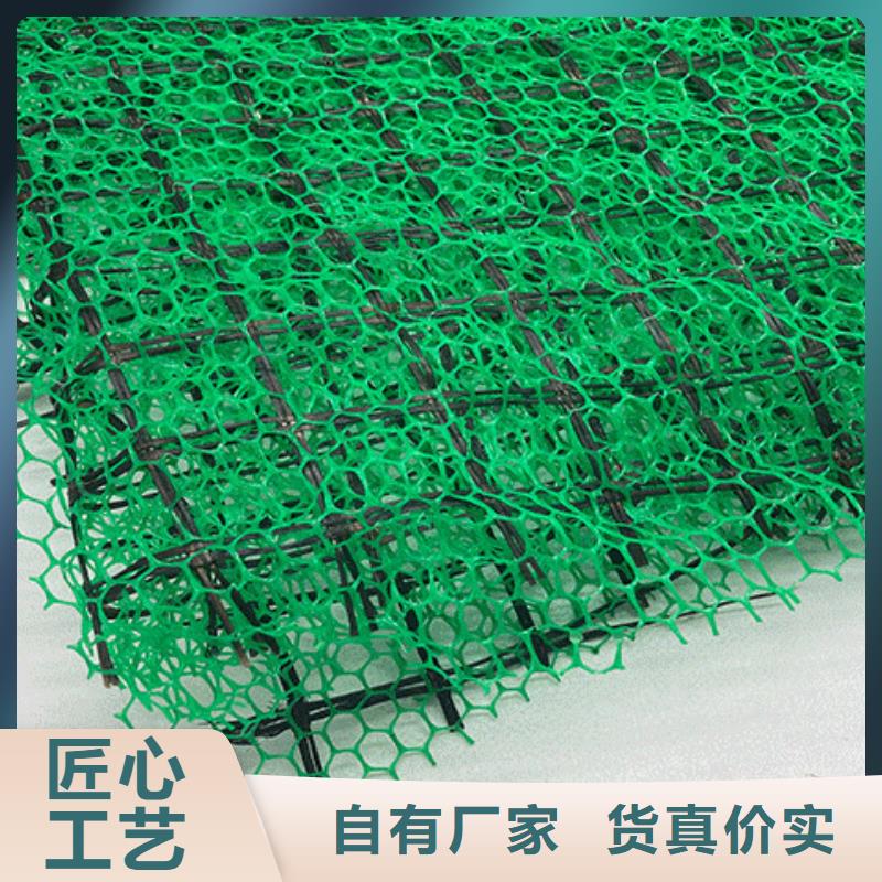 三维土工网垫有限公司-批发生产