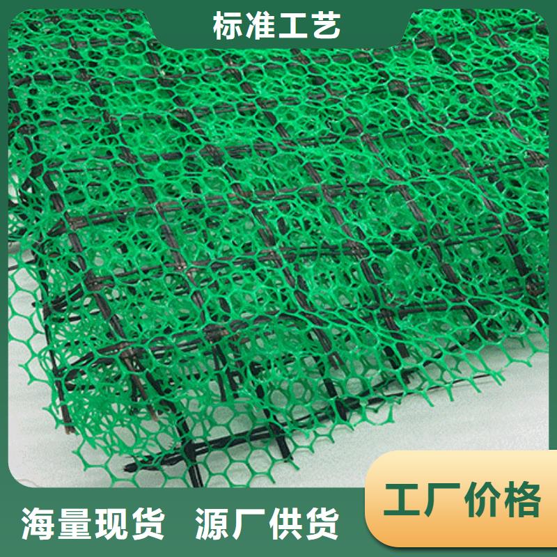 三维植被网-植草格专业生产制造厂