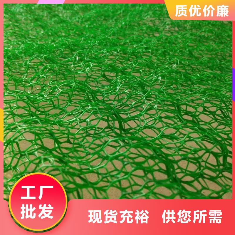 三维土工网垫诚信厂家