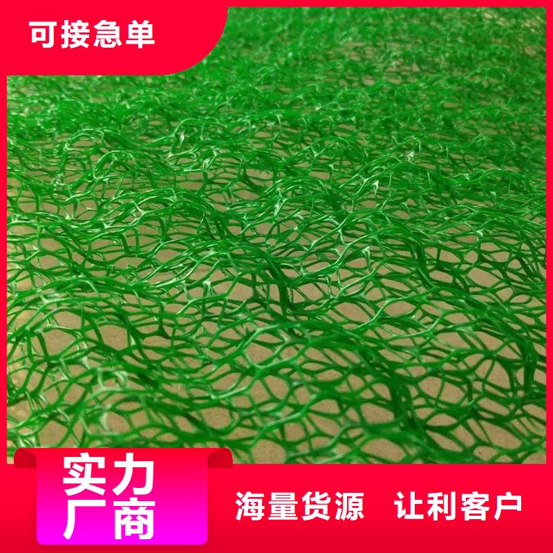 三维植被网【植草格】现货销售