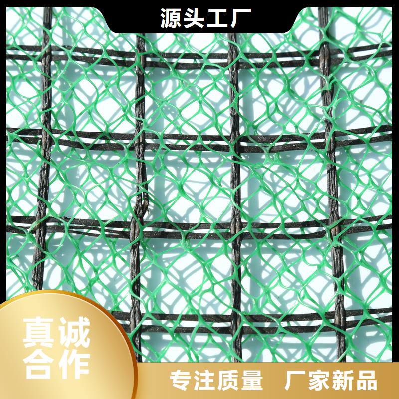 三维土工网垫本地厂家