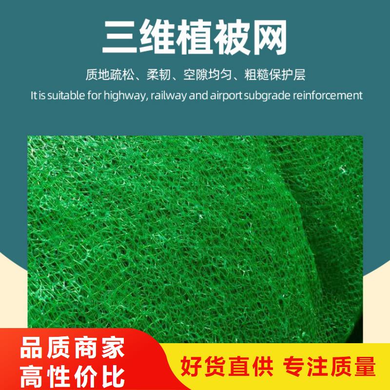 三维植被网价格/欢迎咨询
