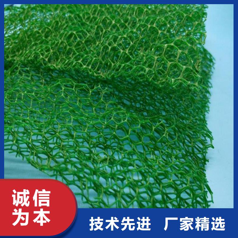 三维植被网价格/欢迎咨询
