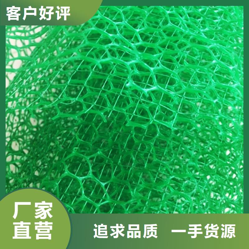 三维植被网植草格源头厂家来图定制