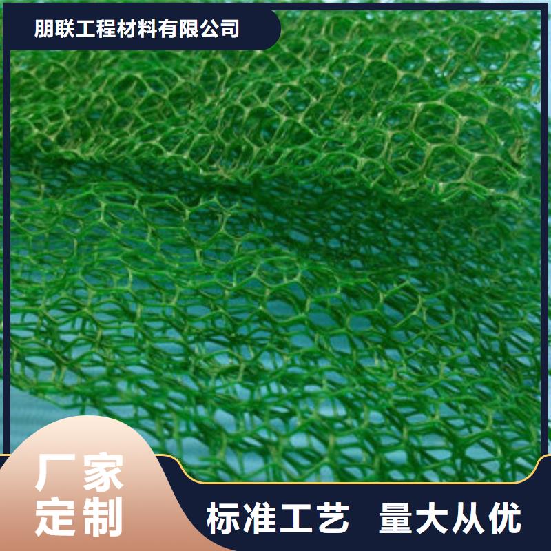 三维土工网垫工厂价