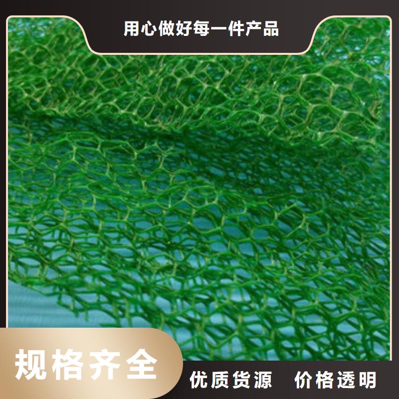 三维土工网垫厂家定制价