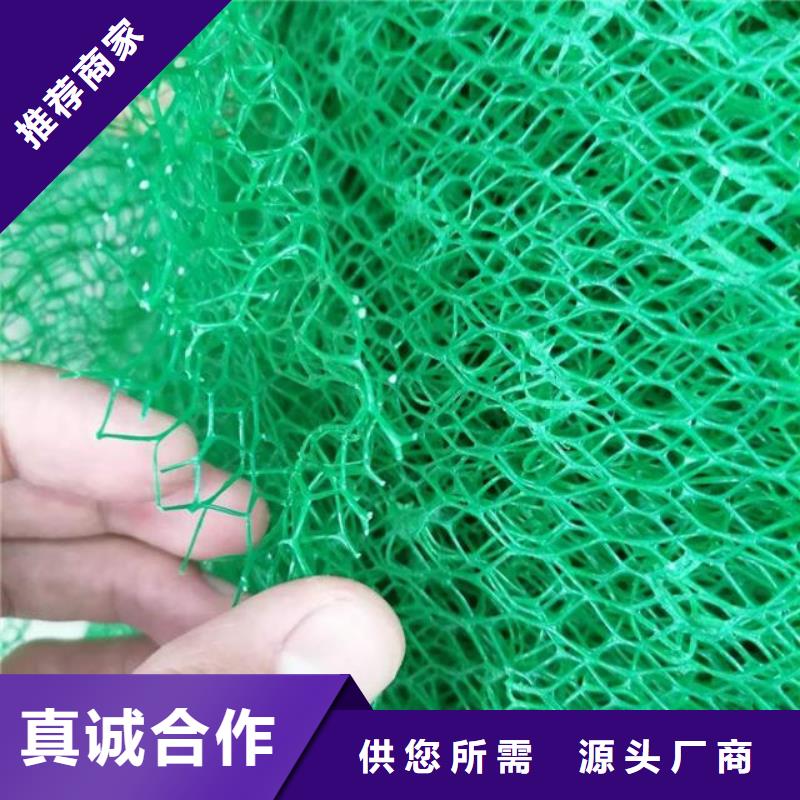 三维植被网-植草格专业生产制造厂