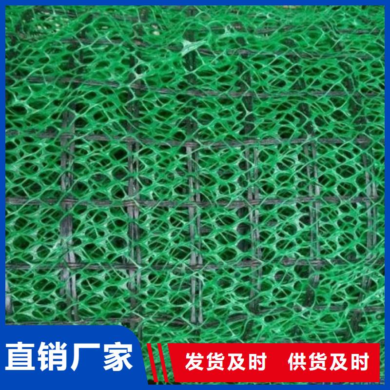 护坡土工网型号
