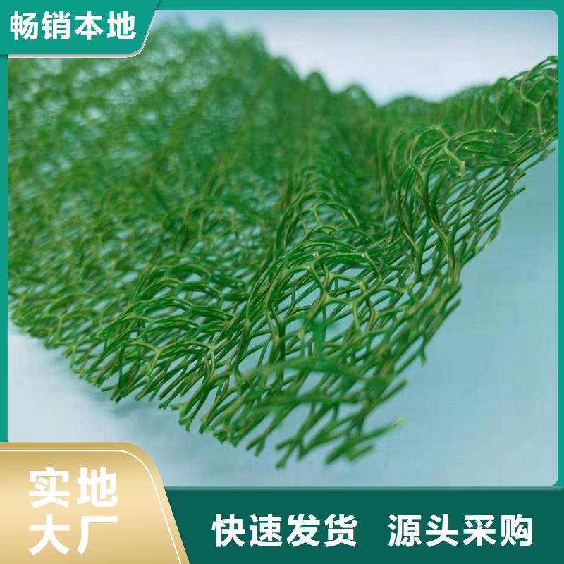 三维植被网植草格诚信商家服务热情