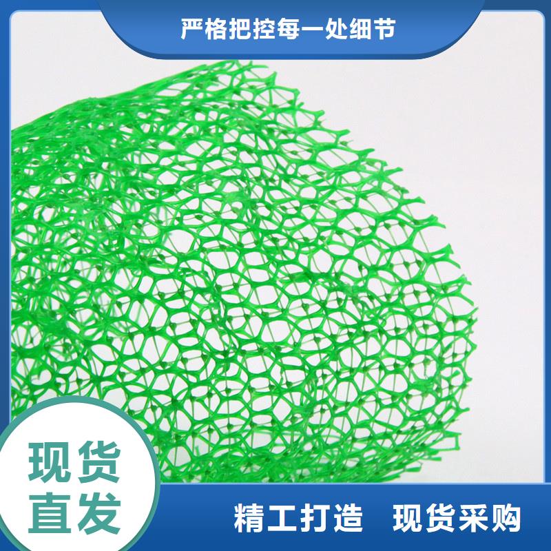 三维土工网垫价格