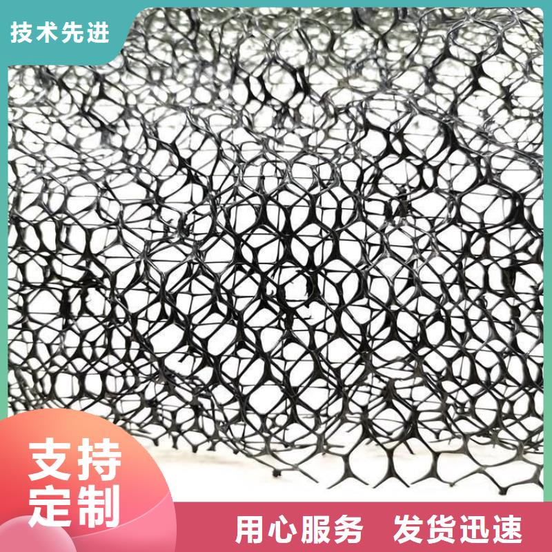 三维植被网型号全_全国供应