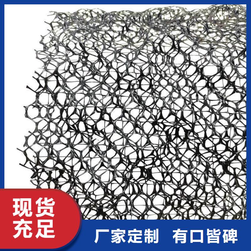 护坡土工网工厂店直营