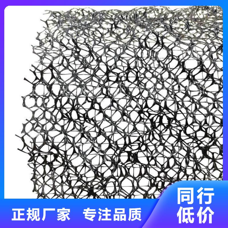 三维植被网工厂价