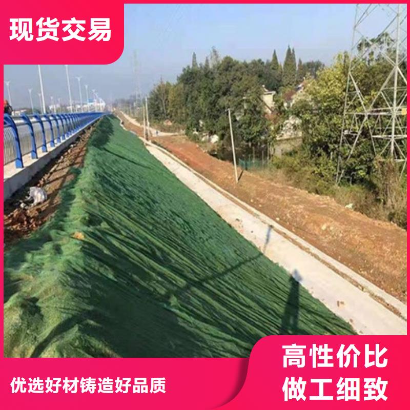 三维植被网-三维植被网厂家