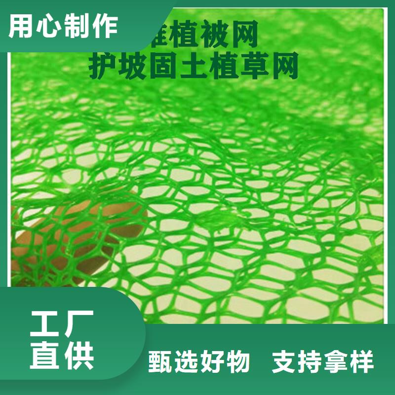 护坡土工网厂家-批发零售