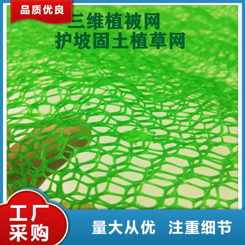 三维植被网本地工厂直营
