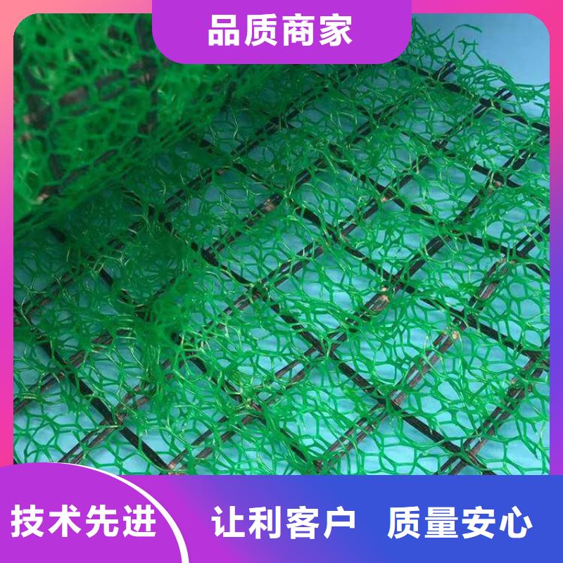 三维植被网工厂价