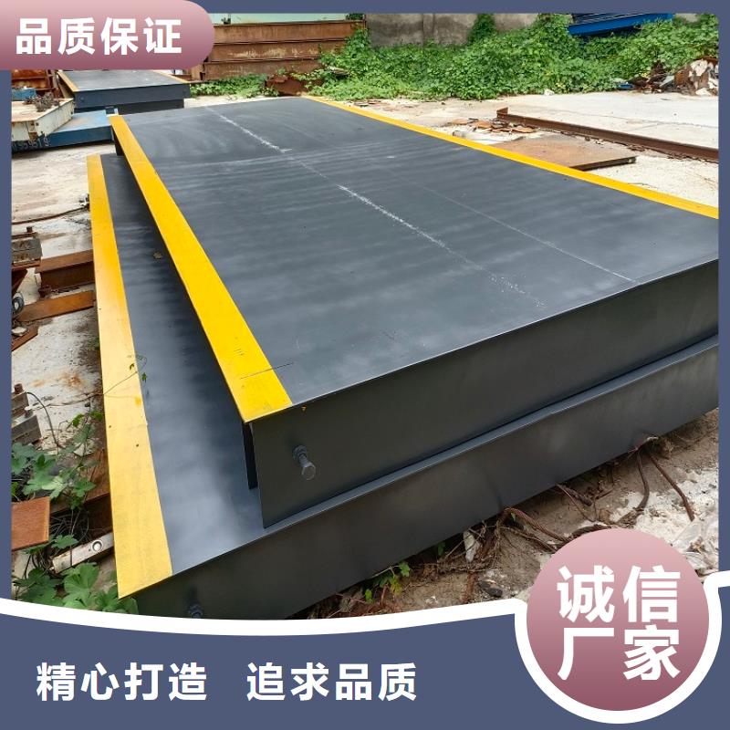 盐湖收蒜苔用地磅售后无忧