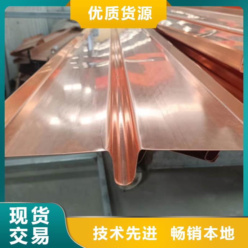 沈北新W型止水铜片放心购买