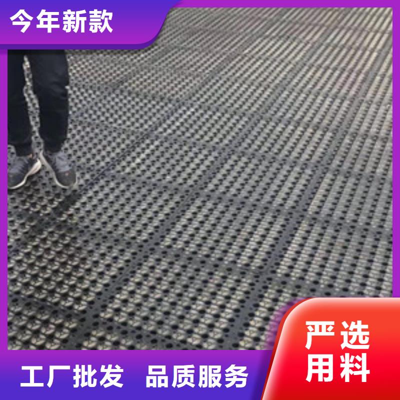 塑料滤水板-厂家直供