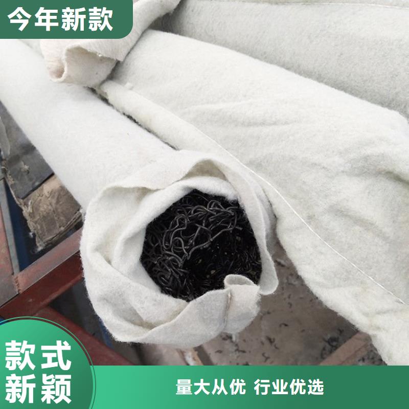 【塑料盲沟】土工格栅实力商家
