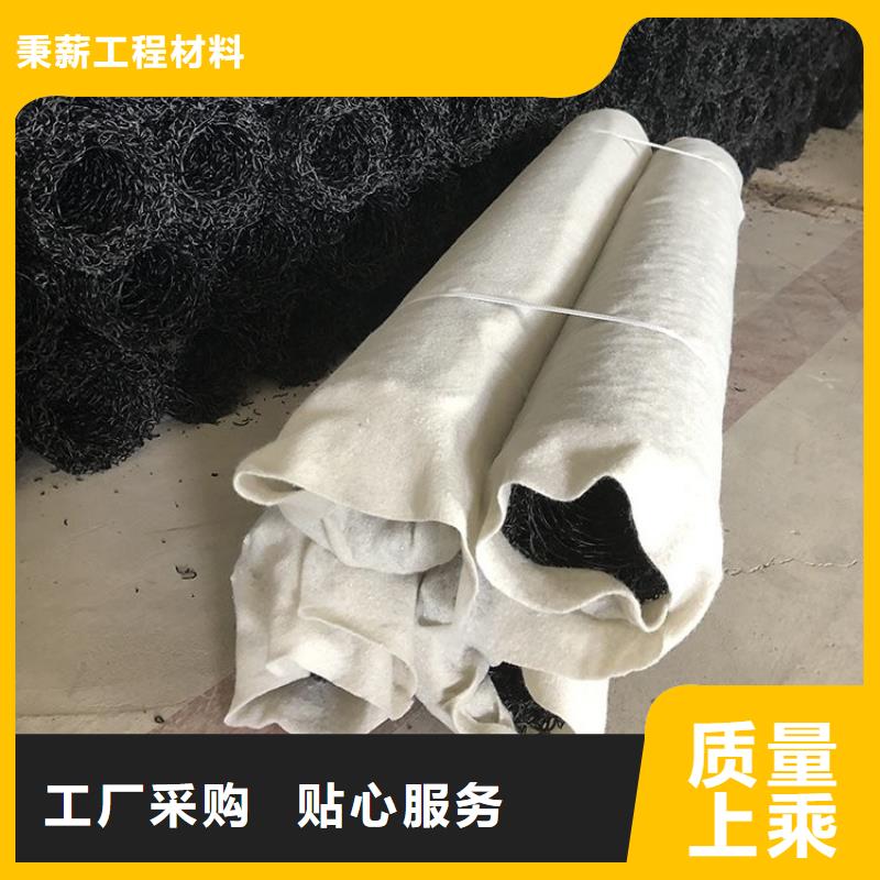 塑料盲沟土工格栅价格透明