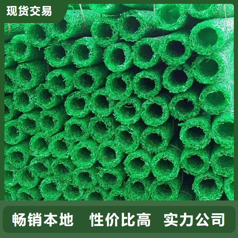 塑料盲沟三维植被网质量牢靠