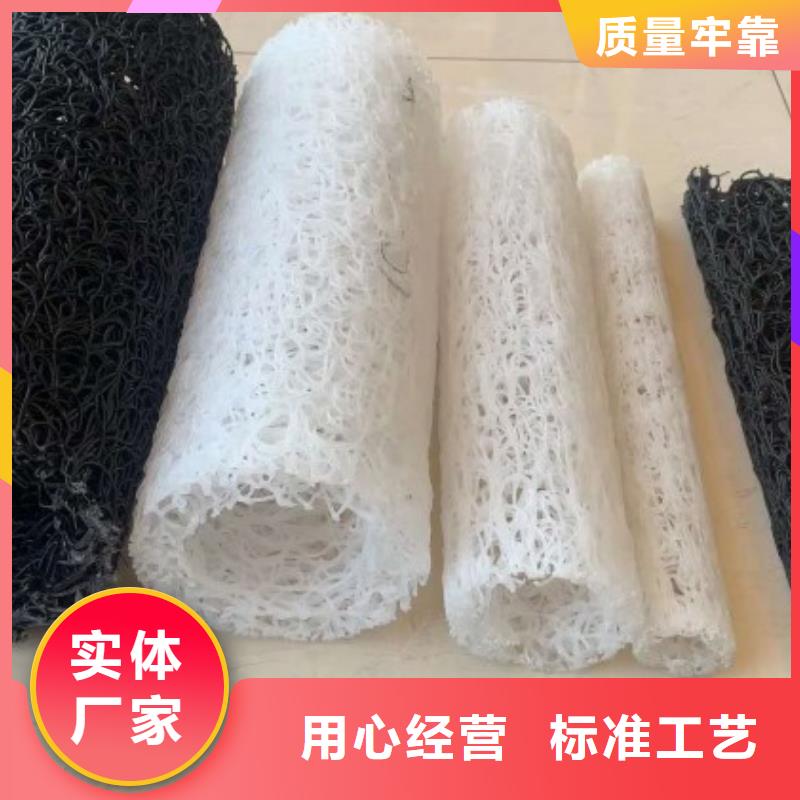 塑料盲沟 疏水板型号齐全