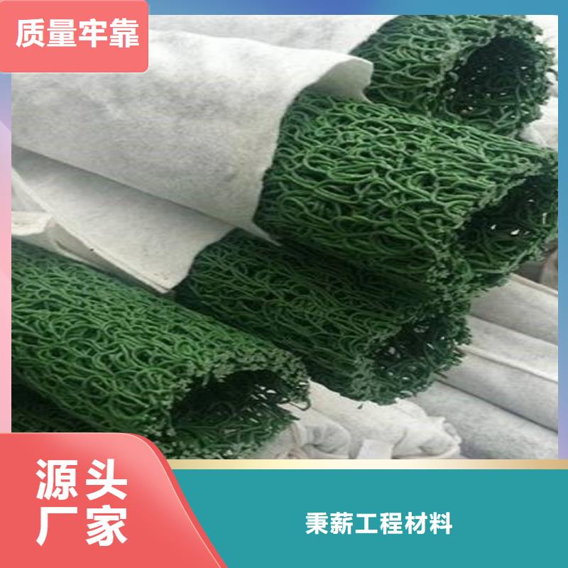 【塑料盲沟】土工格栅实力商家