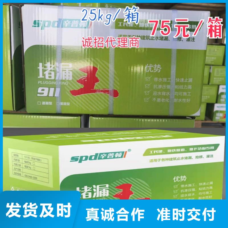 速凝堵漏王零售
