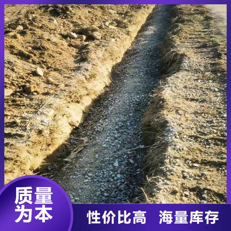 渗排水网垫实力老厂价格