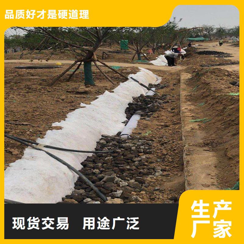 渗排盲管中心卖家