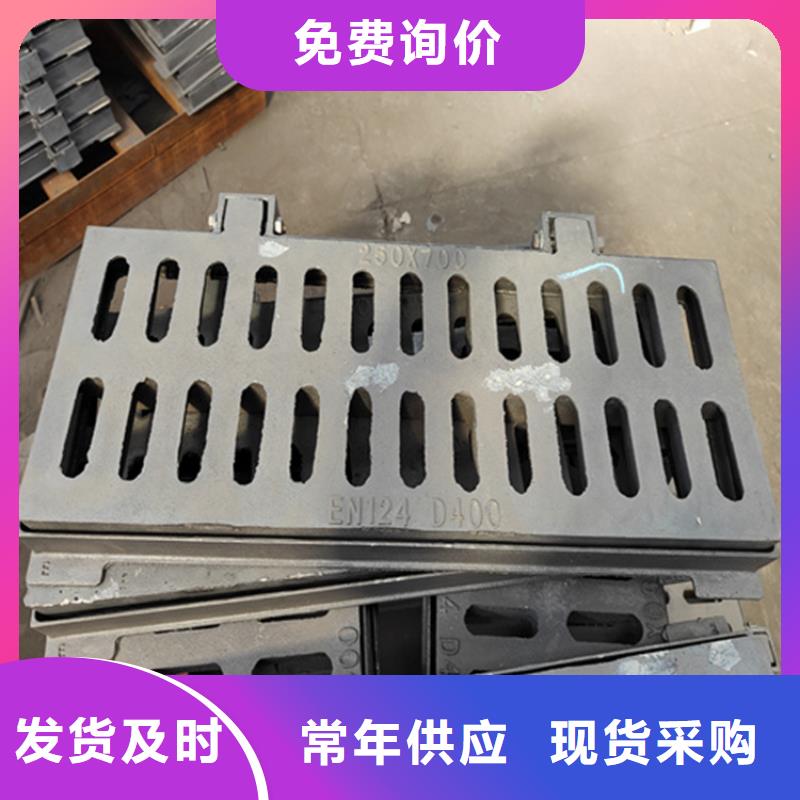 雨水篦子C250