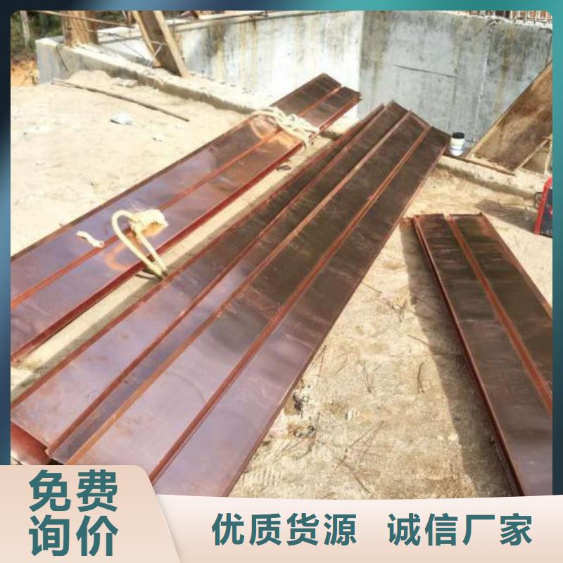 异型止水铜片源头厂家