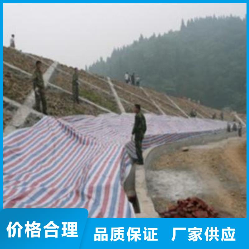 【彩条布绿化防寒布价格实体诚信经营】