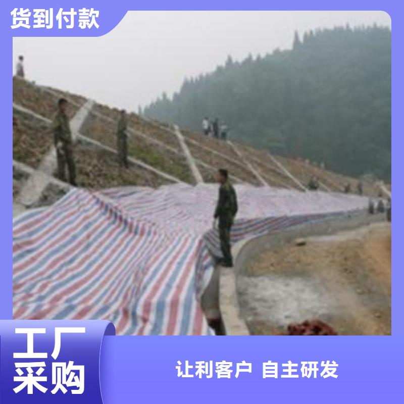 诚信为本塑料编彩条布厂家