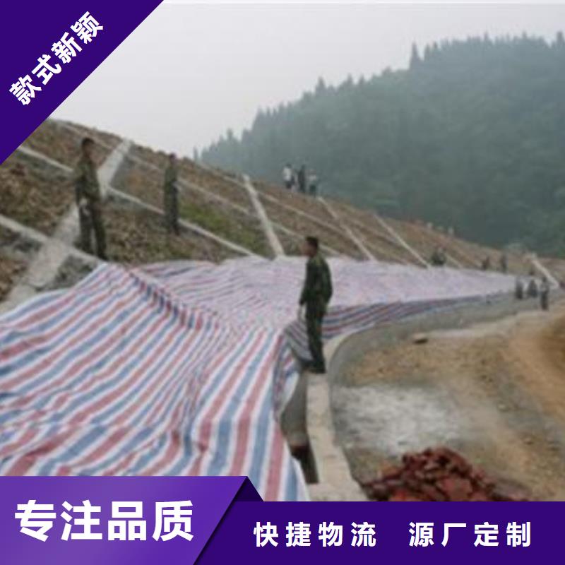 彩条布_PP篷布现货齐全售后无忧