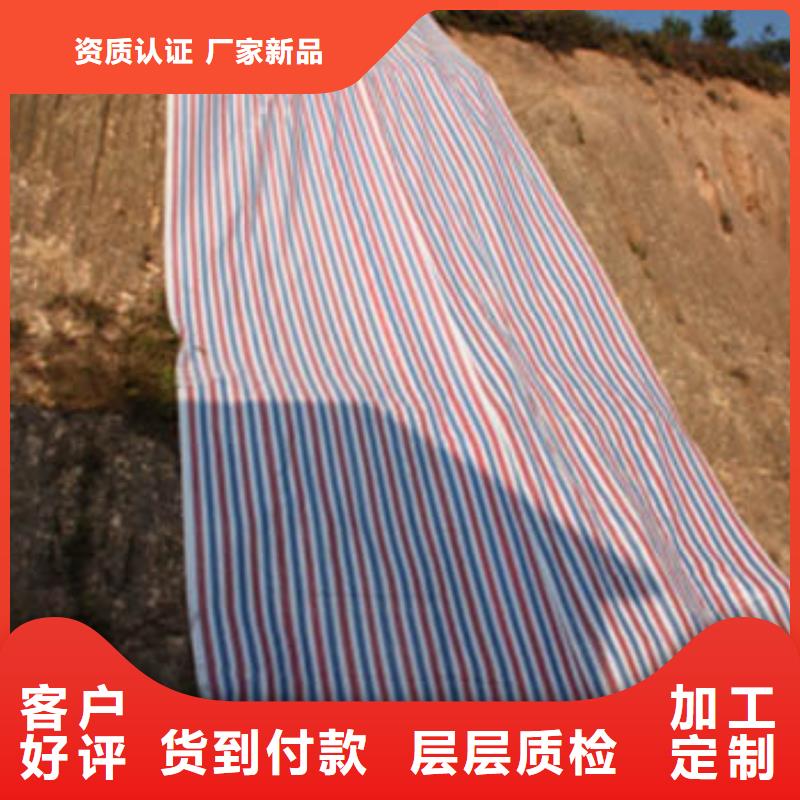 聚乙烯彩条布可随时发货
