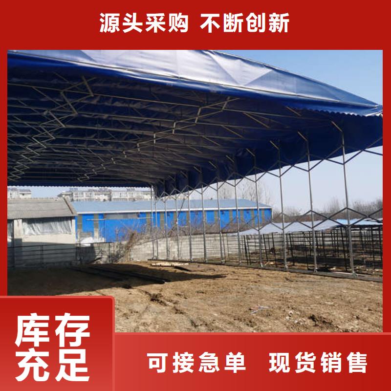 折叠帐篷订制